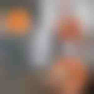 360 fokban forgatható és állítható tisztítómop | CORALMOP