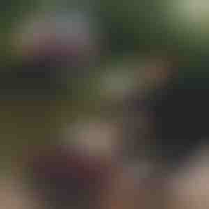 Összecsukható horgászvödör | RIBETINA