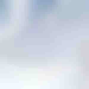 Mágneses szélvédőhóvédő takaró | FROSTCOVER