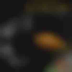 Akváriumi etetőtálca készlet | FINTROL