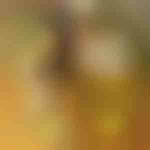 LED Akril Világító Tábla 7 Jelölővel | LUMOBOARD