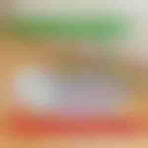 Újrahasználható, szivárgásmentes kutyapelenkák | PAWSORB