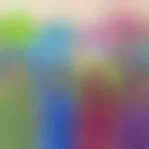 Játék, párna és kapucnis pulóver | PILLOWPET