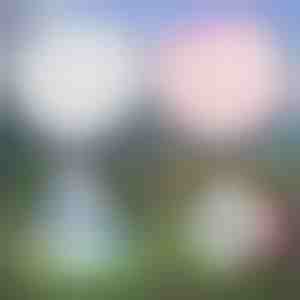 Többfunkciós Felfújható Buborék | SLIMEBUB