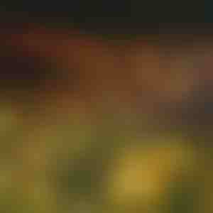 Napelemes fényfüzér 6 LED izzóval | SOMPEX