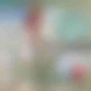 Teleszkópos fém csónakhorgony | FASTDOCK