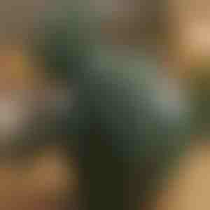 Fűthető shiatsu masszázspárna | MASSORA