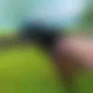 Nehéz kivitelű kábelkötöző szerszám | ZIPFLEX