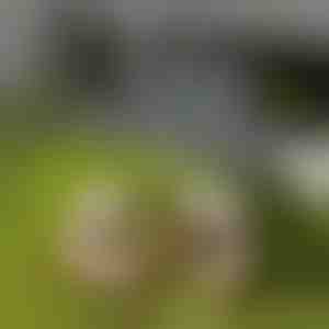Háromszög alakú árnyékvitorla | SHADI
